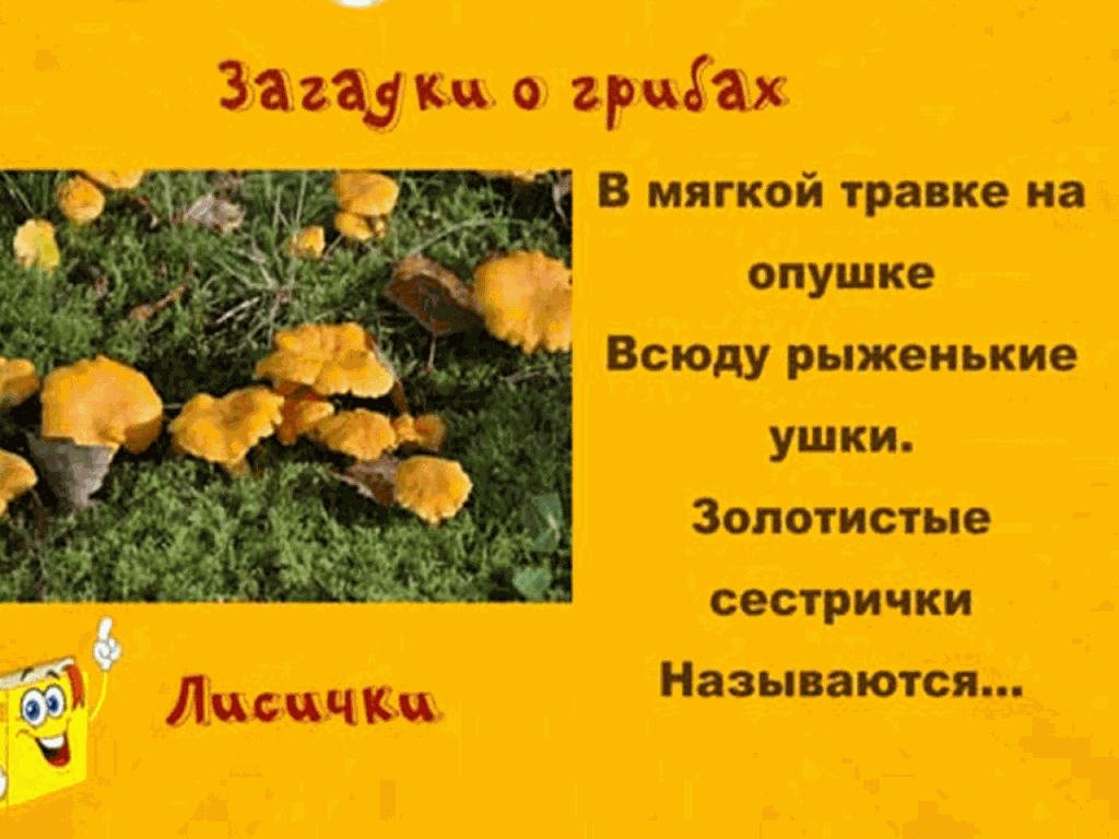 Загадка про гриб лисичка. Загадки о грибах 2 3 загадки.. Лёгкие загадки про грибы. 3 Загадки о грибах 3 класс. Короче 3 загадки о грибах.