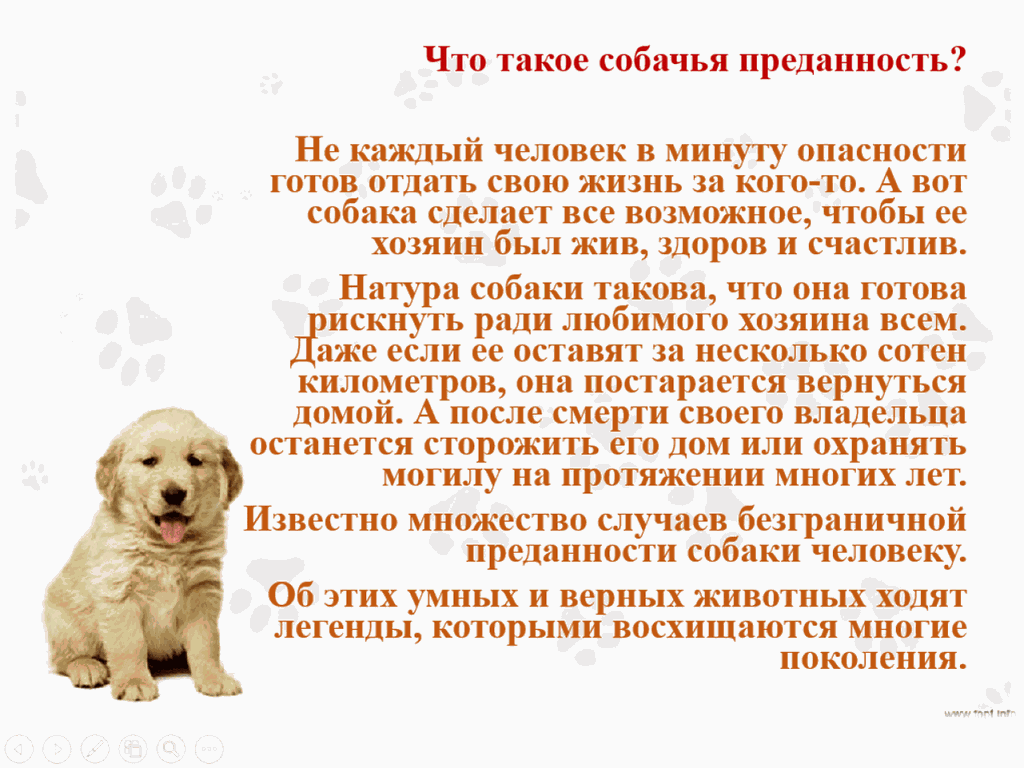 Что такое преданность сочинение