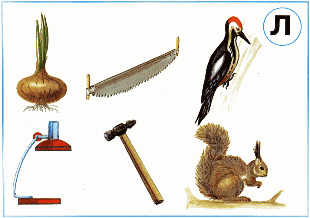 Предметные картинки на звук л