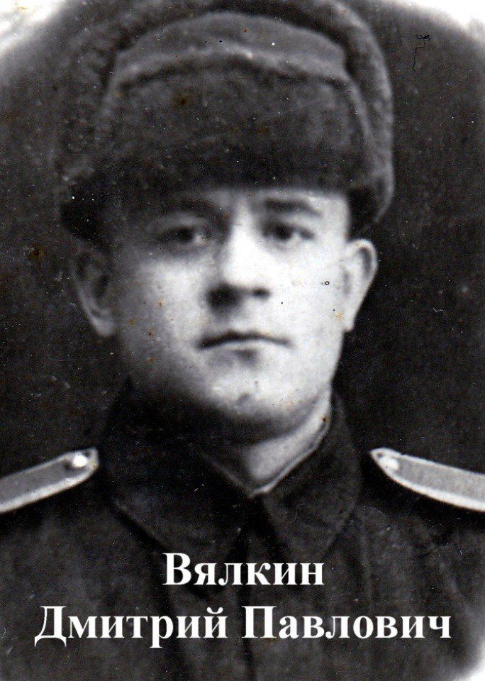 Вялкин Дмитрий Павлович