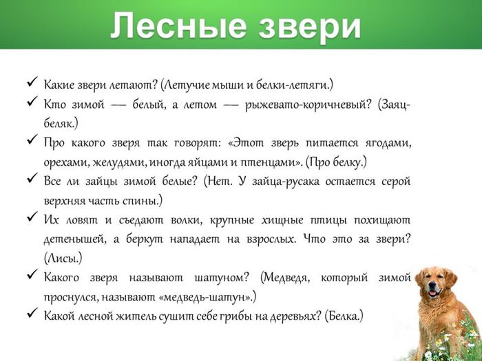 Интересные вопросы про животных. Викторина про животных для детей. Вопросы для викторины про животных. Викторина для малышей о животных. Викторина про животных с ответами для детей.