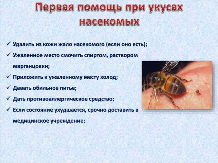 Укус насекомых