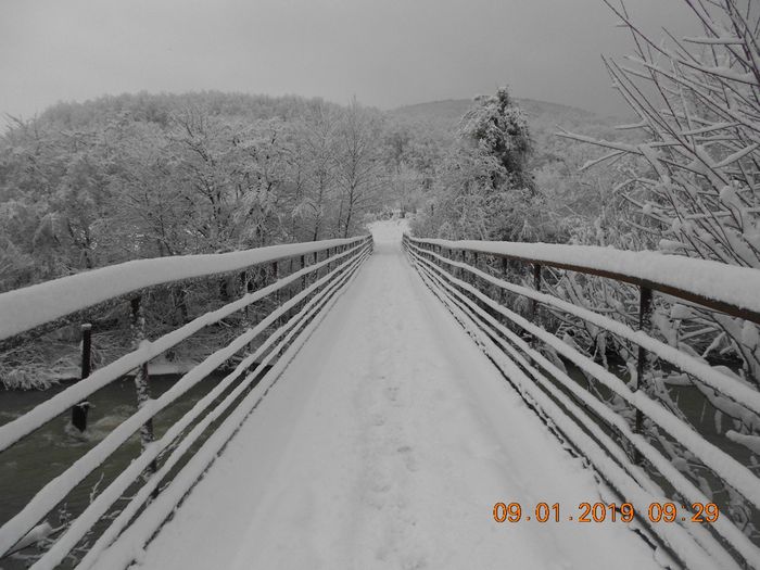 Мост к школе