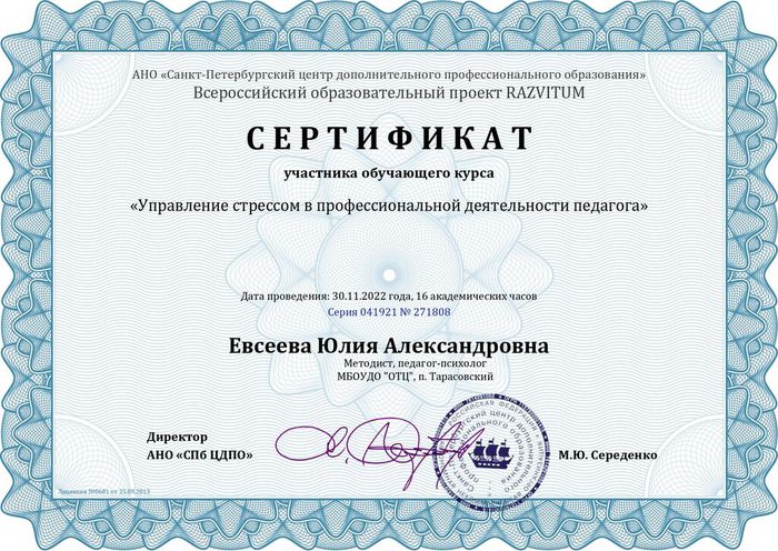 Сертификат Евсеева Юлия Александровна - Серия 041921 № 271808_page-0001